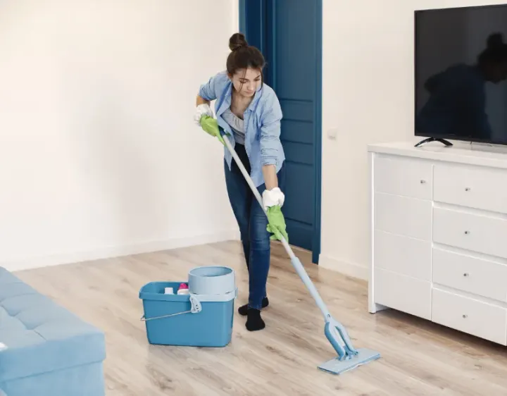 Femme de ménage Dinsac